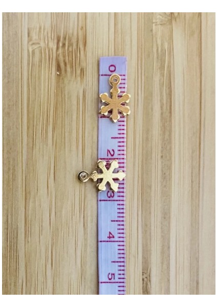 Kartanesi Gold. Pleksi Kalın Pul. 20GR. modelleri