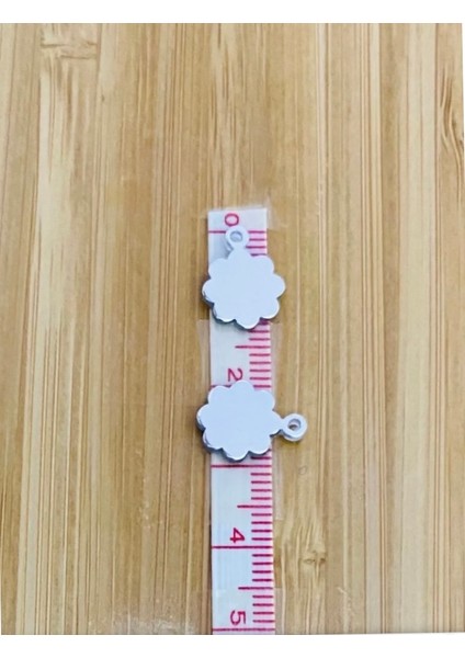 Papatya 10MM. Gümüş Pleksi Kalın Pul. 20GR fırsatları