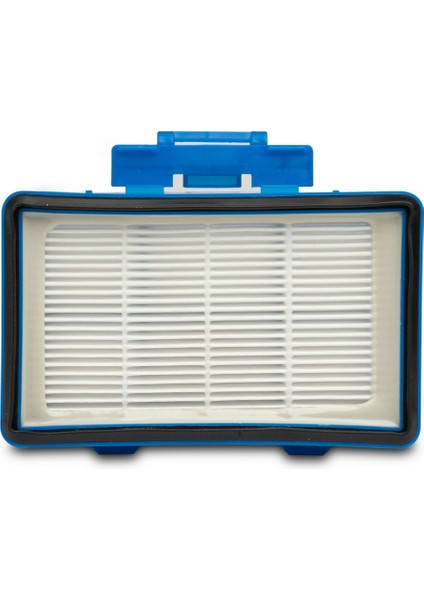 Philips Powergo Serisi FC8242 FC8246 FC8243 Için Hepa Filtreler, CP0538 / 01 Vac Absolute Ev Aletleri Için (Yurt Dışından)
