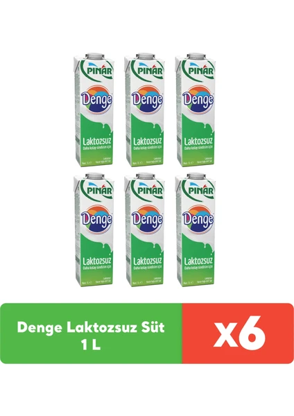 Denge Laktozsuz Süt 1 L x 6 Adet