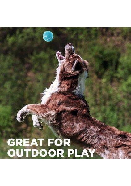 Squeaker Ballz Düdüklü Tenis Topu Köpek Oyuncağı 4'lü Small fırsatları
