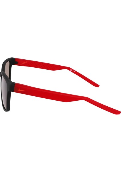 EV24012 010 54 Unisex Güneş Gözlüğü modelleri