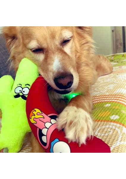 Meksika Temalı Köpek Oyuncağı Peluş Biber Vikvik Sesli Köpek Oyuncakları fiyatları