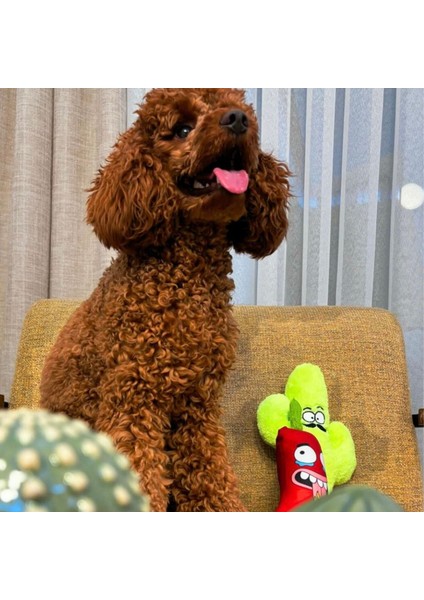 Meksika Temalı Köpek Oyuncağı Peluş Biber Vikvik Sesli Köpek Oyuncakları indirimleri