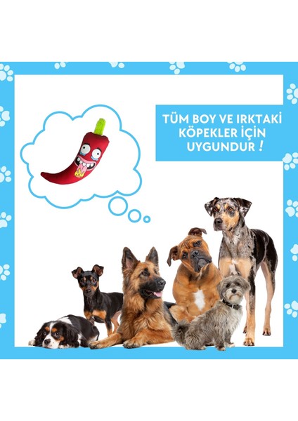 Meksika Temalı Köpek Oyuncağı Peluş Biber Vikvik Sesli Köpek Oyuncakları