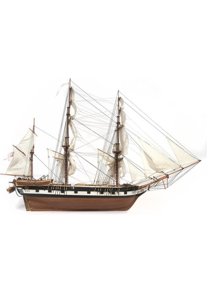 12005 1/60 Ölçek, Beagle Yelkenli Tekne Ahşap Model Kiti