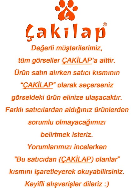 Çakılap Piglet Baskılı Tişört Unisex, Premium Kalite (Rgl-Çf)