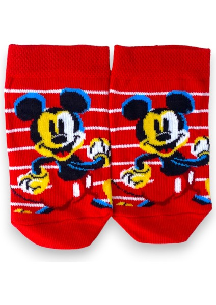 4'lü Disney Lisanslı Mickey Mouse Patik Çorap