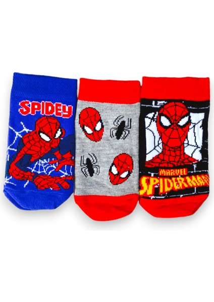 3'lü Disney Lisanslı Spiderman Patik Çorap