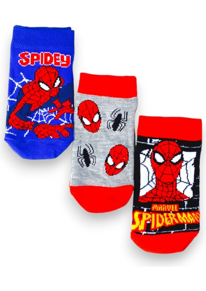 3'lü Disney Lisanslı Spiderman Patik Çorap