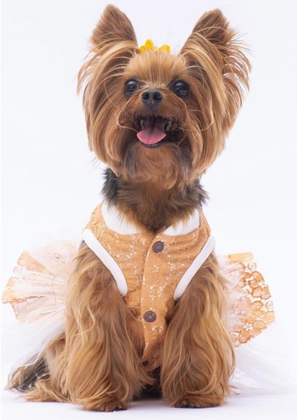 Kahverengi Primavera Kedi Köpek Elbisesi fiyatları