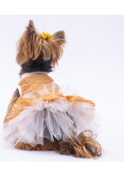 Kahverengi Primavera Kedi Köpek Elbisesi modelleri