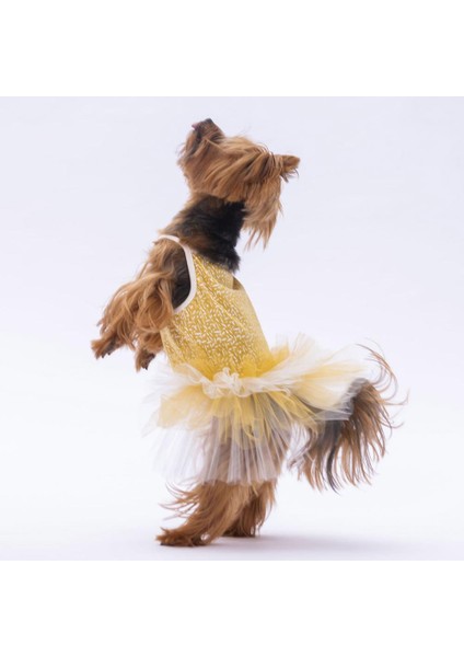 Sarı Polka Dot Kedi Köpek Elbisesi modelleri