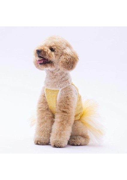 Sarı Polka Dot Kedi Köpek Elbisesi fırsatları