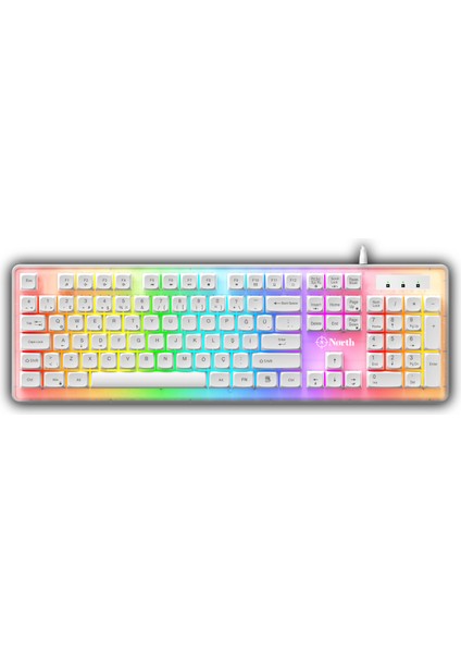 Paladin Mekanik Hisli Türkçe Rgb Beyaz Gaming Klavye