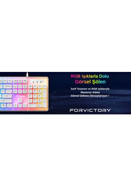 Paladin Mekanik Hisli Türkçe Rgb Beyaz Gaming Klavye