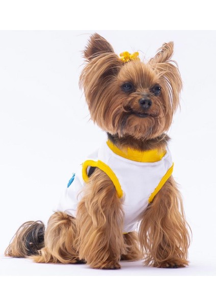 Happy Birthday Kedi Köpek Tişörtü - Kedi Köpek Kıyafeti modelleri