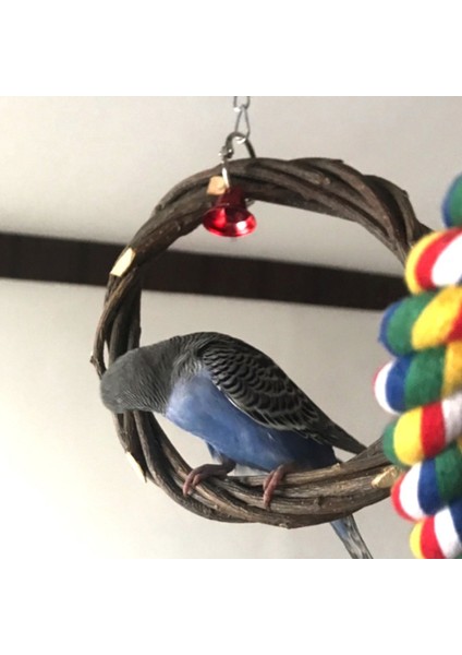 Çap 20CM Tarzı Kuşlar Papağanlar Için Tahtalar Platformlu Askı Kafesi Tırmanma Salıncağı Çiğneme Zili Oyuncak Evcil Hayvanlar Rattan Halka (Yurt Dışından)