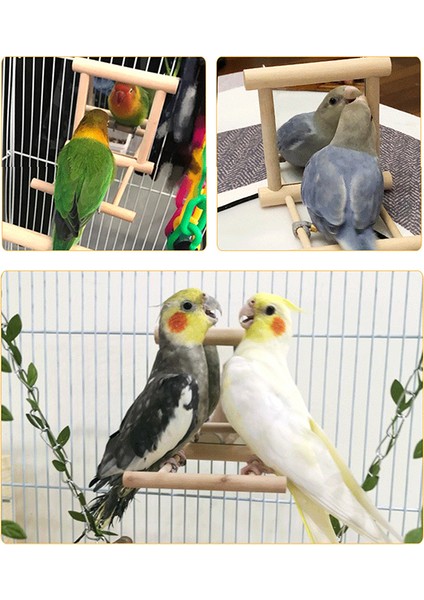 1 Adet Tarzı Kafes Için Kuş Oyuncak Ayna Tüy Desteği Kuş Oyuncakları Için Oyuncak Standı Kuşlar Için Oyuncak Yer Maması (Yurt Dışından) fırsatları