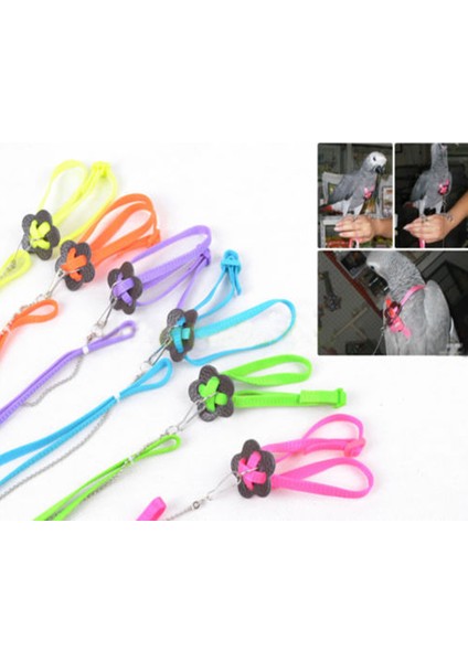 Pembe Tarzı Kuş Tasma Eğitim Tırmanma Kayışı Güvenlik Halkası Mağaza Kuşları Güvenlik Kontrolü Yelek Çene Tutma Eğitim Çekiş Kayışı (Yurt Dışından) modelleri