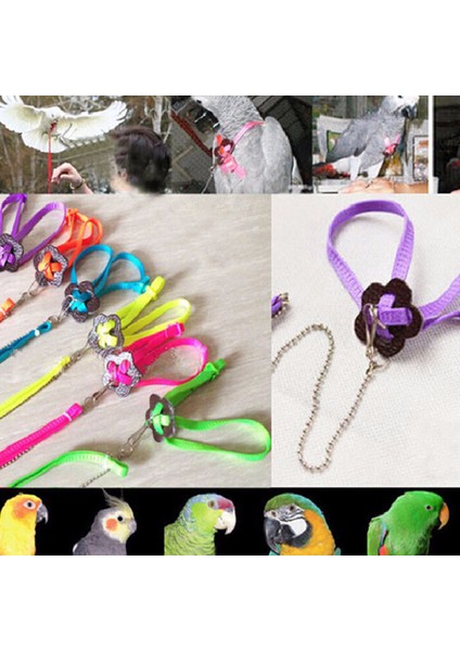 Pembe Tarzı Kuş Tasma Eğitim Tırmanma Kayışı Güvenlik Halkası Mağaza Kuşları Güvenlik Kontrolü Yelek Çene Tutma Eğitim Çekiş Kayışı (Yurt Dışından) indirimleri