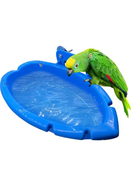 Mavi Stil Kuş Banyo Küveti Kase Papağan Kafesi Asılı Banyo Kutusu Kuş Banyosu Küvet Papağan Banyo Malzemeleri Banyo Odası (Yurt Dışından)