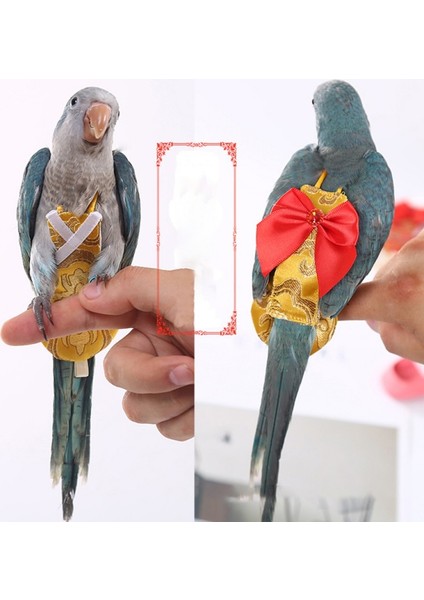 Siyah Stil S Beden 1 Adet Papağan Kuşu Güvercin Bebek Bezi Takım Elbise Ile Yaka Kurdelesi Muhabbet Kuşu Güvercinler Küçük Orta Büyük Evcil Kuşlar Uçuş Takımı Kıyafetler (Yurt Dışından) indirimleri