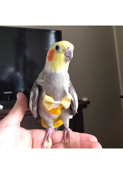 Sarı Stil L Beden Yıkanabilir Papağan Uçuş Takımı Yeniden Kullanılabilir Muhabbet Kuşu Bez Kıyafeti Kuş Kıyafetleri Uçma Takımı Astarı Kuş Bezi Çiş Pedı Muhabbet Kuşu (Yurt Dışından) fırsatları