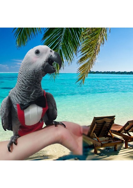 Altın Tarzı L Beden 1 Adet Papağan Kuşu Güvercin Bebek Bezi Takım Elbise Ile Yaka Kurdelesi Muhabbet Kuşu Güvercinler Küçük Orta Büyük Evcil Kuşlar Uçuş Takımı Kıyafetler (Yurt Dışından) fırsatları