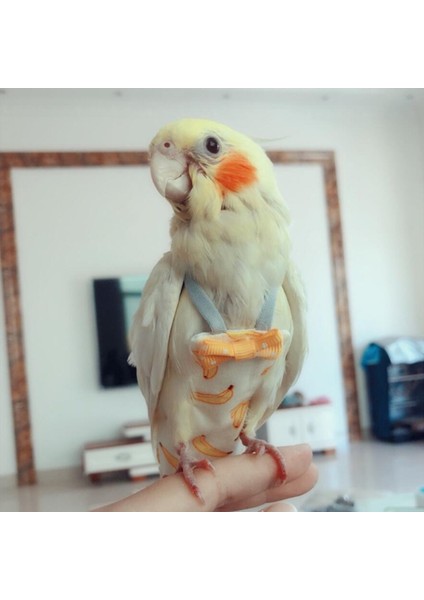 E Stili M Beden Papagan Bezli Yaka Mendilli Sevimli Renkli Meyve Çiçekli Muhabbet Kuşu Güvercin Küçük Orta Büyük Evcil Kuş Uçuş Takımı Kıyafetler Yıkanabilir (Yurt Dışından) modelleri