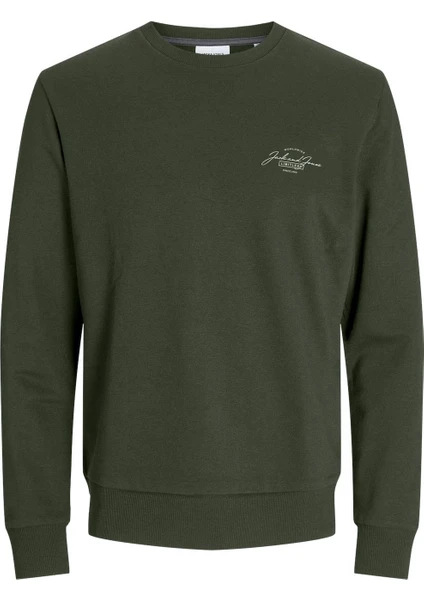 Jack & Jones Jjferrıs Sweat Crew Neck Yeşil Erkek Sweatshirt