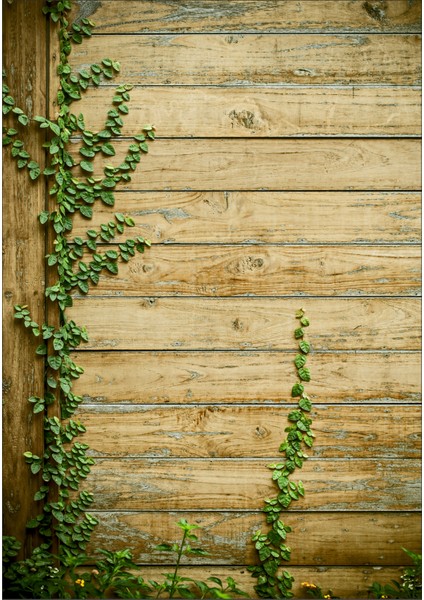 Fotoğraf Çekim Fonu 70 x 100 cm