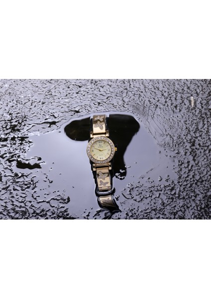 Çelik Kasa Kadın Kol Saati fırsatları