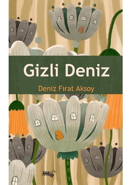 Gizli Deniz - Deniz Fırat Aksoy