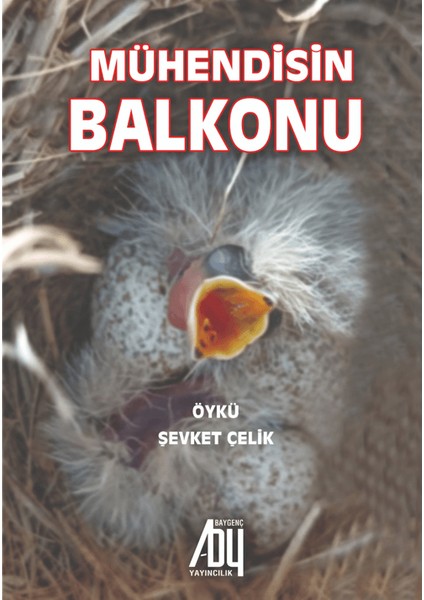 Mühendisin Balkonu - Şevket Çelik