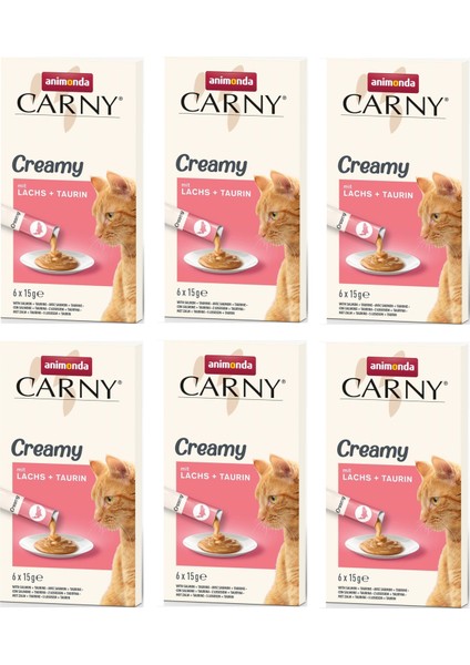 Carny Creamy Somonlu ve Taurinli Kedi Sıvı Ödülü 6 X 15 gr. 6 Lı