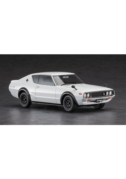 HC49 21149 1/24 Ölçek, Nissan Skyline 2000GT-R (KPGC110), Otomobil Plastik Model Kiti modelleri