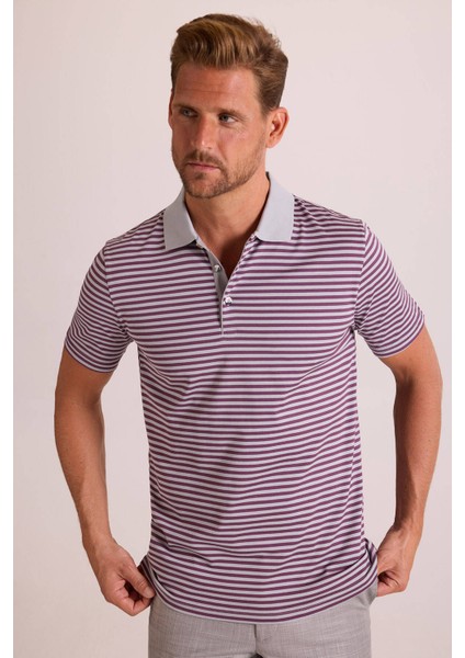 Erkek Gri Çizgili Polo Yaka T-Shirt fırsatları