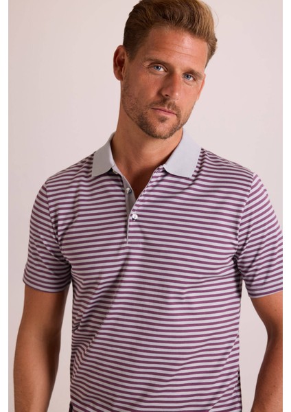 Erkek Gri Çizgili Polo Yaka T-Shirt indirimleri