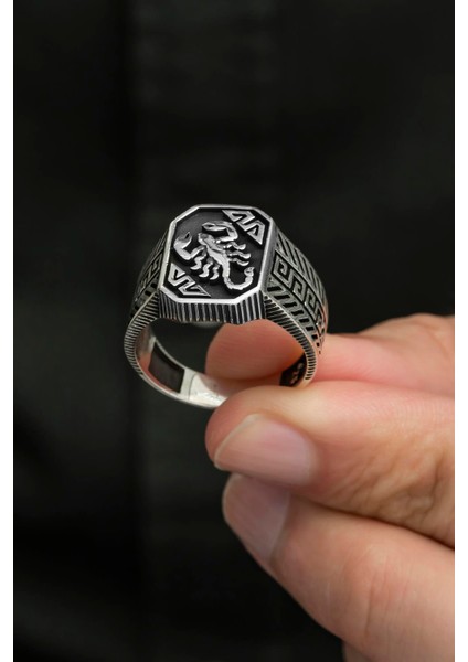 Akrep Desenli Taşsız 925 Gümüş Erkek Yüzük fırsatları