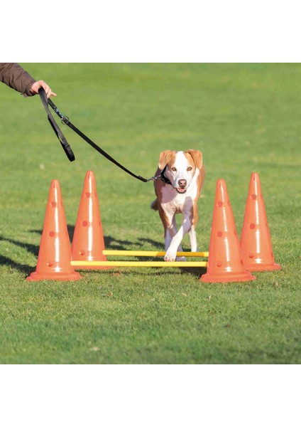 Köpek Agility Oyuncağı 2 Adet 30 x 50 cm 100 cm 13