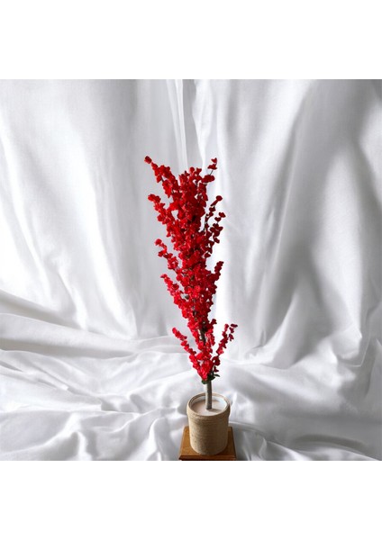 30 x 30 cm Hasır Saksıda 170 cm Kırmızı Bahardalı Yapay Ağaç.
