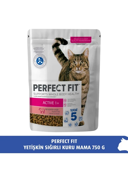 Perfect Fit Yetişkin Sığırlı Kuru Mama 750 gr