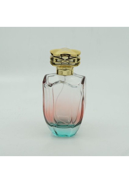 10 Adet Boş Cam Parfüm Şişe, 100 Ml, Su Yeşili-Kırmızı Degrade Model, Şeffaf,