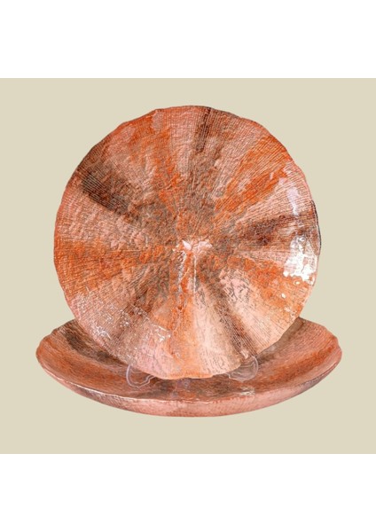 Glacıer Meyvelik Kase 40 cm fiyatları