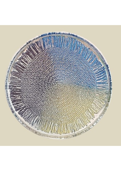 Lefkara Sunum Tabak 28CM fiyatları