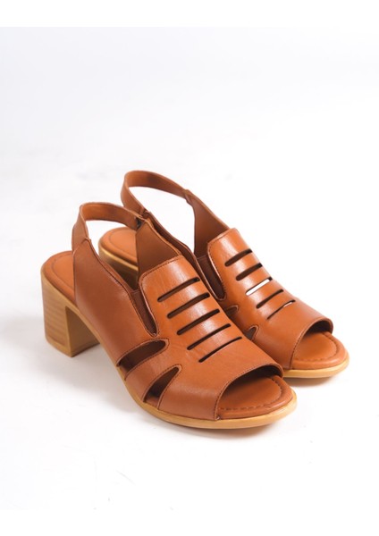 Wina Taba Kadın Ayakkabı modelleri