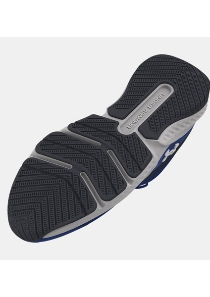 Erkek Ua Dynamic Select Training Ayakkabısı 3026608-403 fırsatları