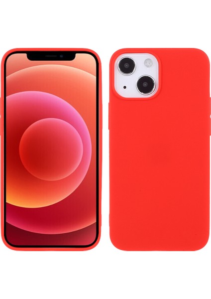 Apple iPhone 13 Telefon Kılıfı (Yurt Dışından)