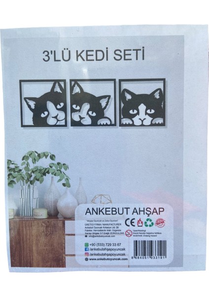 3’lü Kedi Seti Tablo